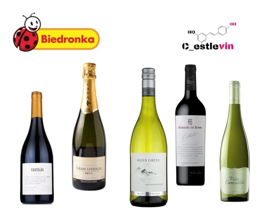 Dobre wina ranking: znajdź najlepsze wina na każdą okazję i budżet