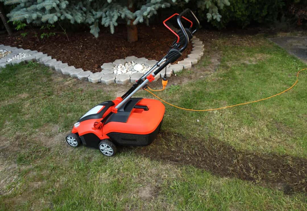 Wertykulatory elektryczne: Jakie modele są najskuteczniejsze w pielęgnacji trawnika?